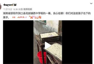 学生吃的饭上爬满苍蝇 ? 剩饭没来得及回收