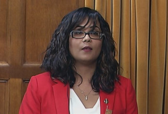 加拿大众议院通过反“伊斯兰恐惧”动议