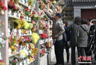 清明节可以互祝快乐么?有专家称“可以说”