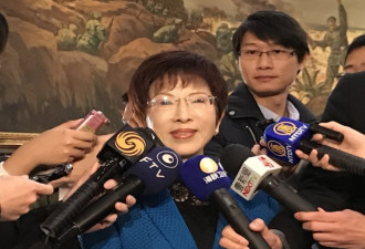 菲前总统称洪秀柱可能当选下届台湾总统