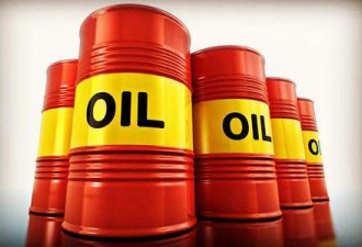 无视川普喊话 OPEC+已同意成员消减石油产量