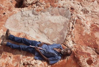澳大利亚发现最大恐龙脚印化石 长达1.7米