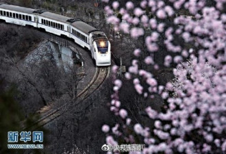 北京：“开往春天的列车”人满为患 车站限流