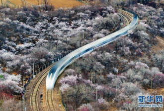 北京居庸关长城附近 那趟开往春天的列车来了