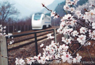 北京居庸关长城附近 那趟开往春天的列车来了
