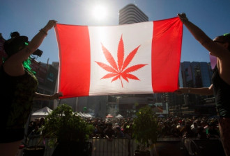 明年7月1日大麻正式在加拿大合法 每家可种4棵