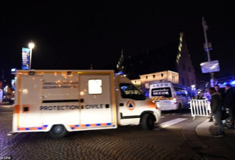 法国圣诞集市枪击致4死 警方锁定一名29岁男子