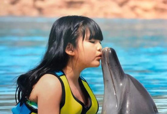 李湘一家度假穿亲子装 王诗龄亲吻海豚画面美好