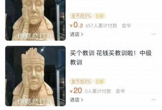双十二最让人看不懂的爆款：花钱买“教训”！