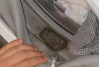 打开家里洗衣机后，居然发现了这种致命的东西