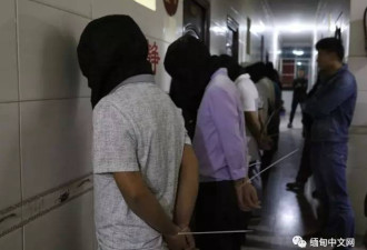 370名中国人在缅甸涉电信诈骗 被一锅端