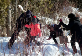 非法越境进入加拿大申请难民的数量下降