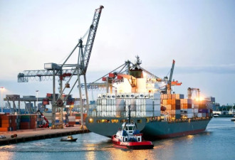 澳商品服务出口保持强劲增长 中澳经贸关系紧密