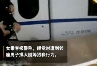 女子高铁上睡觉，遭邻座男子猥亵摸大腿