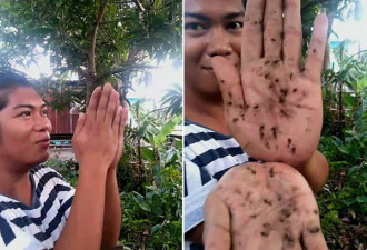 菲律宾化妆师展示灭蚊特技 一掌拍死数十只