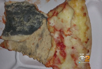 纽约学生午餐“超营养” 披萨长霉鸡肉里有铁丝