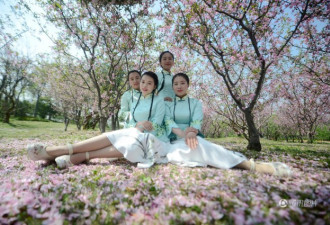 扬州瘦西湖美女导游换新装 散发浓郁晚清风