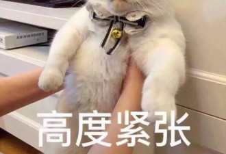 第一次见家长有多尴尬？ 隔着屏幕笑到窒息