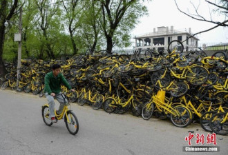 共享单车与国情不符？看看北京的“惨案”现场