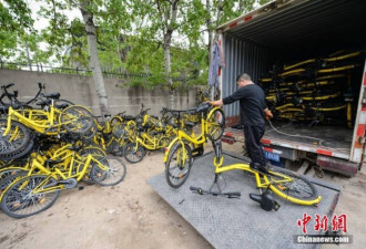 共享单车与国情不符？看看北京的“惨案”现场