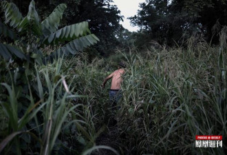 强奸、绑架、虐待和死亡: 中美洲人的偷渡之路
