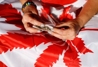 政府公布大麻零售业绩不俗