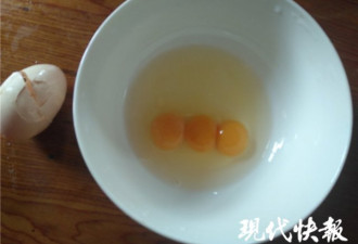 太神奇了！母鸡失踪20多天，带回一窝小鸡