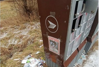 Whitchurch小镇两个社区邮箱遭人恶意损毁