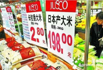 零售商太黑 日本机构将在华直营零售大米