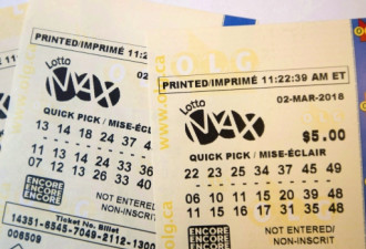 昨晚6000万Lotto Max一票独中 看看是不是你的