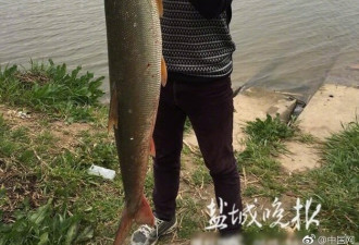 江苏小伙钓12.5公斤大鱼 20分钟才弄上岸