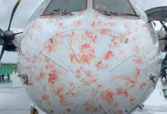 太惊险！俄航客机撞上鸟群 大难不死 惨照曝光