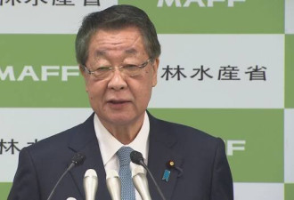 日本官员重申：政府重启商业捕鲸的目标没有变