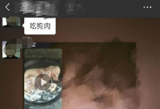 城管发炖狗视频被停职 网友：犯了什么法