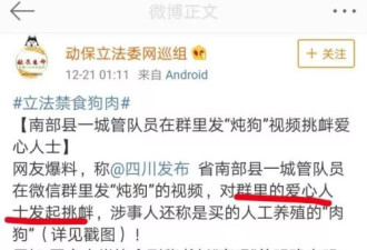 城管发炖狗视频被停职 网友：犯了什么法