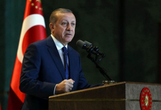 修宪公投在即 土耳其总统行安抚之术