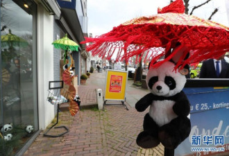 中国的两只熊猫要来荷兰小镇瞬间变成这画风