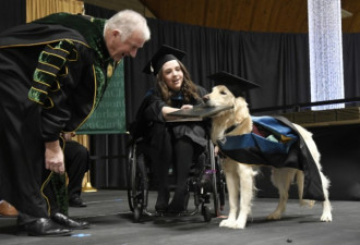 跟主人一起毕业！忠犬获荣誉学位