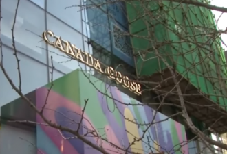 加拿大鹅三里屯店开业："网红奶茶店的水准"？