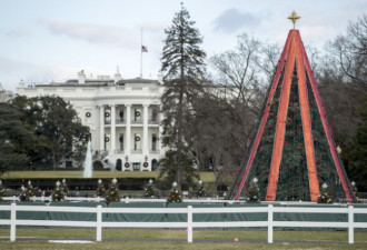 国家圣诞树一度陷入黑暗 成政府瘫痪标志