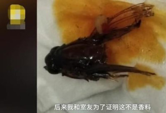 辣条吃出虫子?创始人一夜成名 路虎揽胜出行