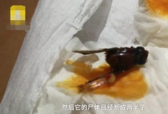 辣条吃出虫子?创始人一夜成名 路虎揽胜出行