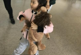 李小璐带女儿去机场，网友却因这件事气炸了
