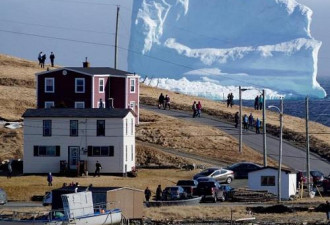 巨大冰山漂至加拿大沿海小镇 民众争相“看山”