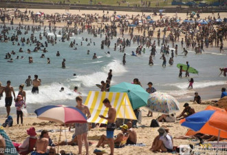 澳洲气温逼近50℃ 100万人海滩纳凉