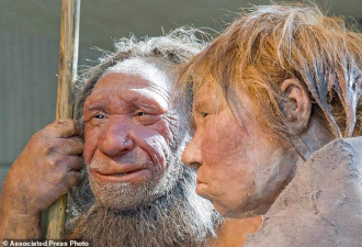 人类祖先的食人现象：可能并非为满足营养所需