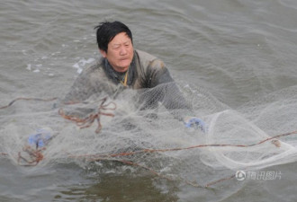 鱼洄游产卵遭市民捕捞 半小时就捕几十斤