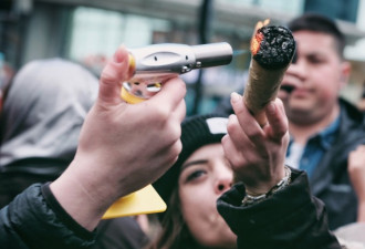 合法之前最后一个420 大麻日……嗨翻了