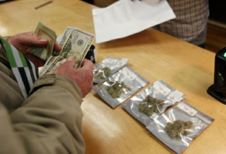 加州大麻合法化1年  80%仍为非法交易