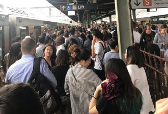 悉尼城铁大延误！部分列车被取消 大量旅客滞留
